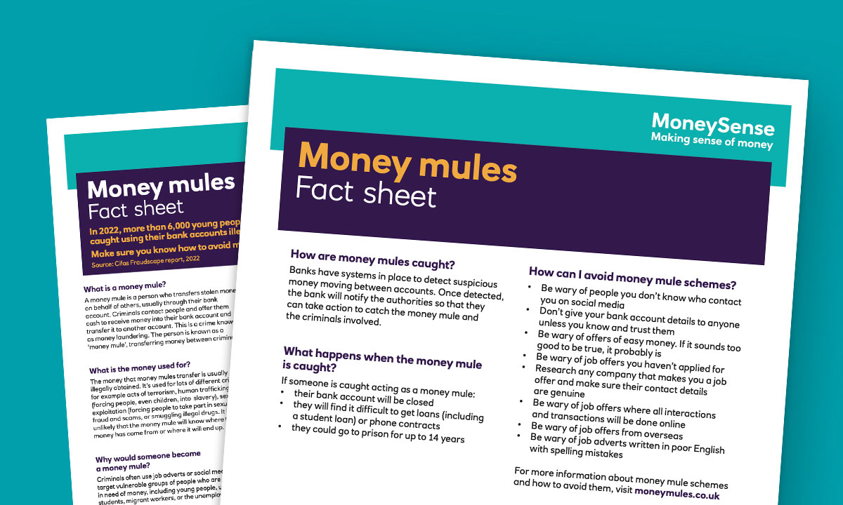 16 18 T7 Moneymules Factsheet Index 1200 720 New